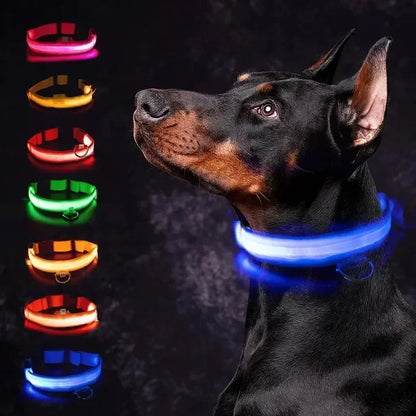 Led Glowing Collar