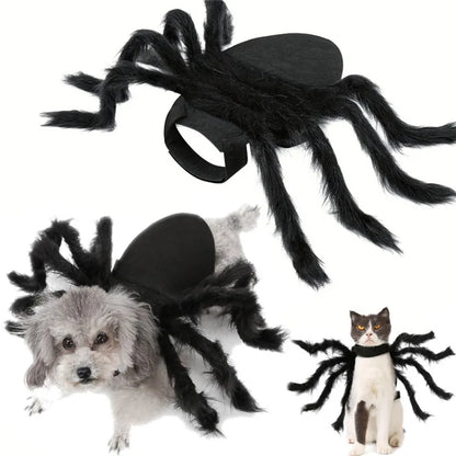 Spider Costume