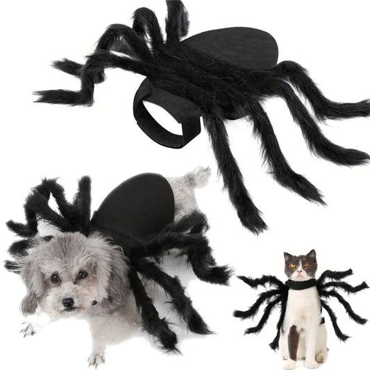 Spider Costume
