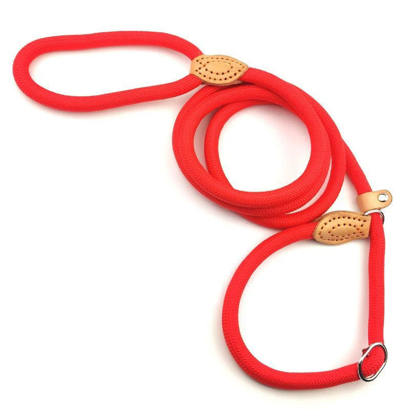Nylon Leash