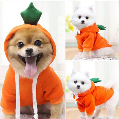 Cute Fruit Pet Costume