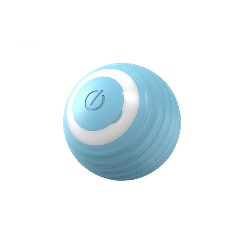 Interactive Ball Toy