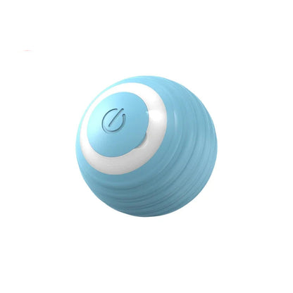 Interactive Ball Toy