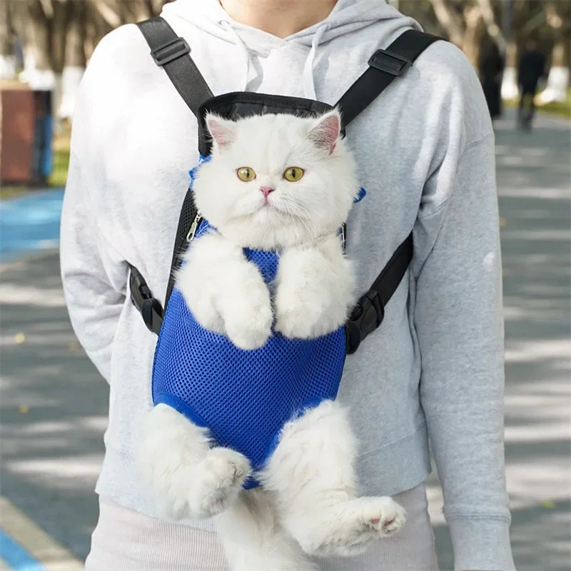 Cat Backpack