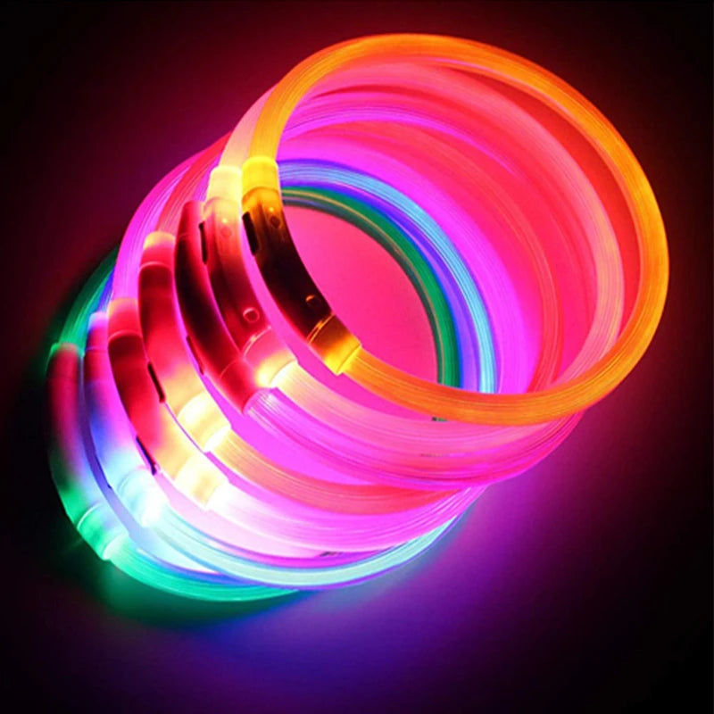LED Collar