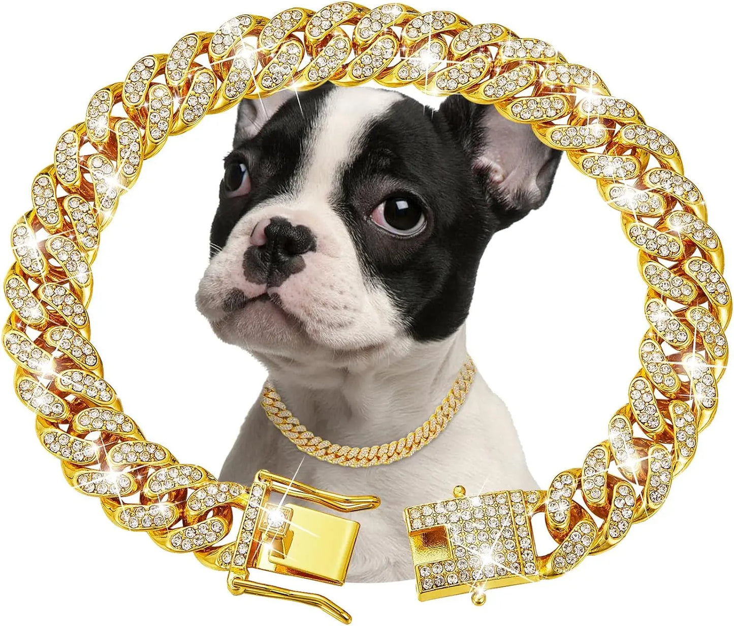 Golden Luxury Chain Collar