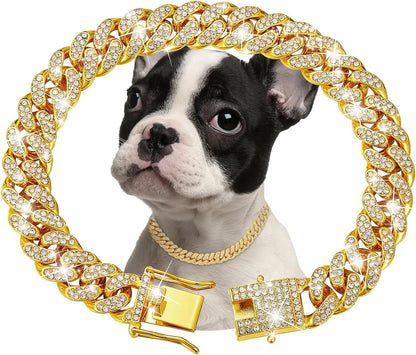 Golden Luxury Chain Collar