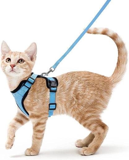 Cat Harness and Leash 3