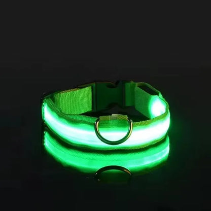 Led Glowing Collar