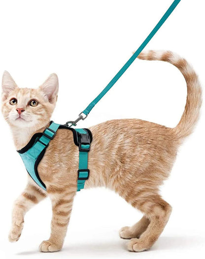 Cat Harness and Leash 3