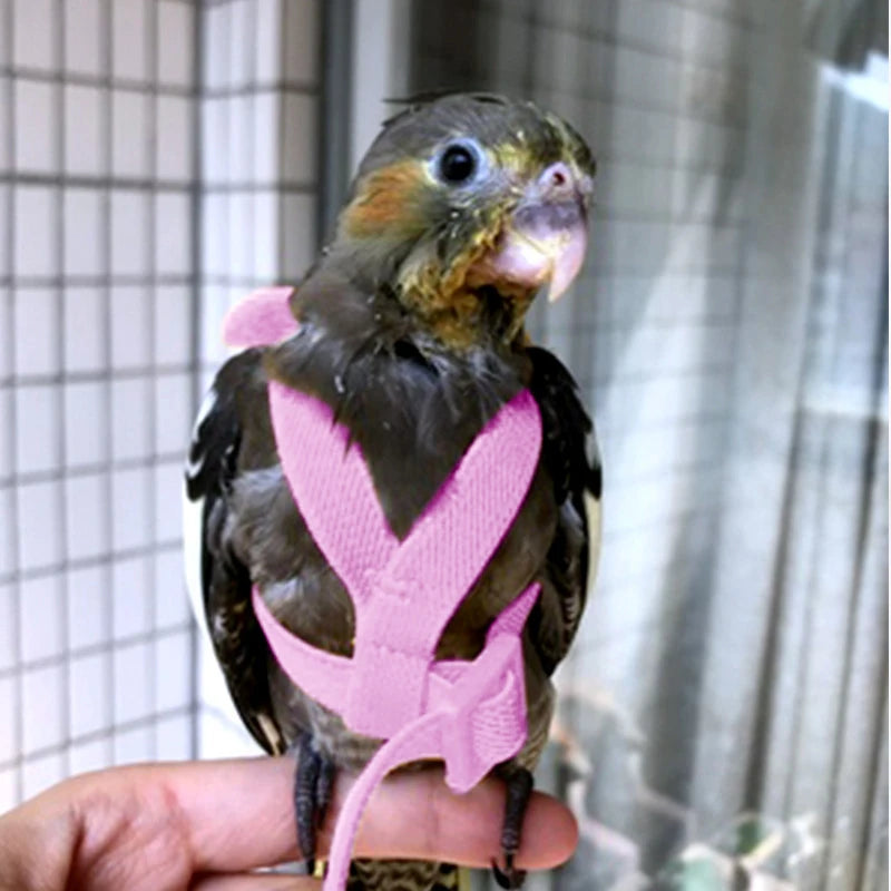Parrot Flying Harness