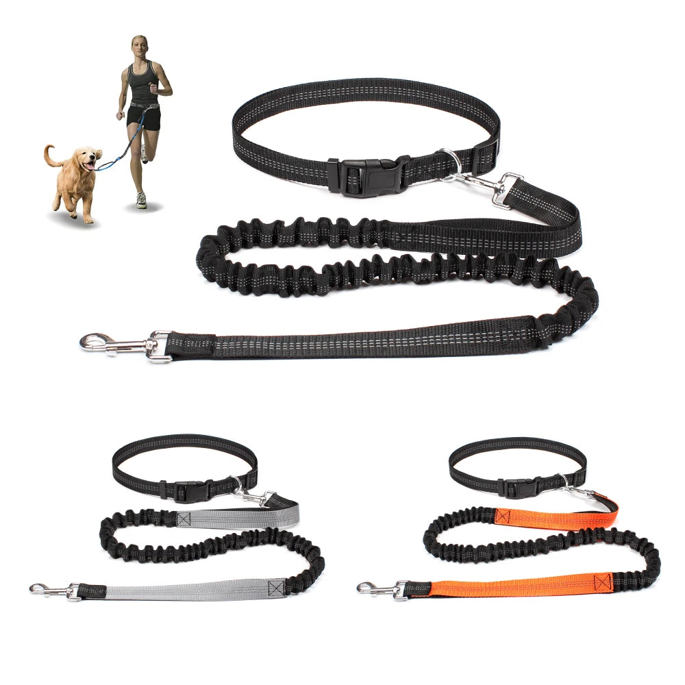 Hand Free Leash for Jogging