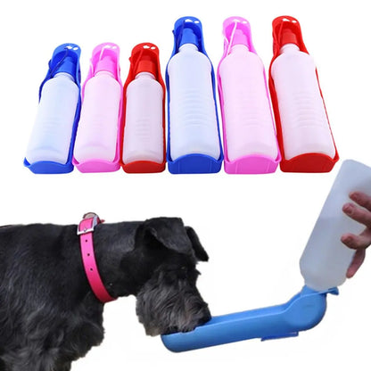 Portable Water Bottle with Bowl 2