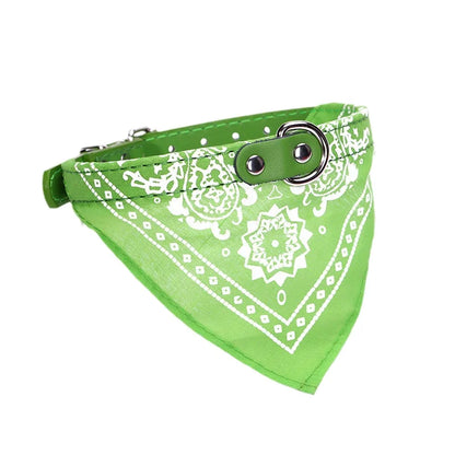 Collar Bandana