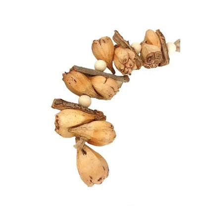 Beak Grinding Training Toy