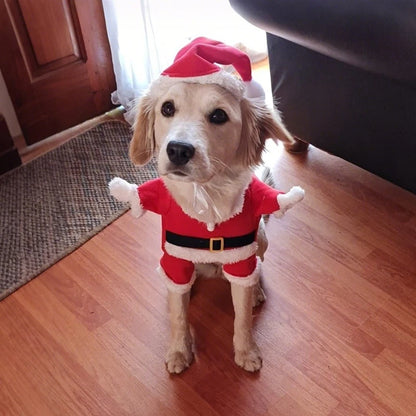 Dog Santa Costume 1