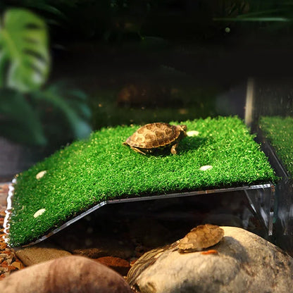 Turtle Moss Platform