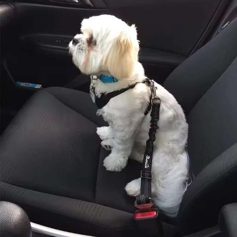 Car Safety Seat Belt Leash