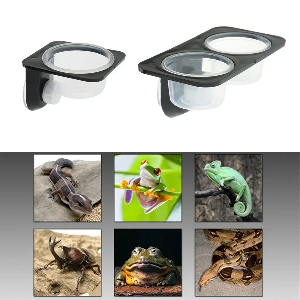 Reptile Suction Cup Feeding Bowl