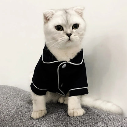 Cat Holiday Outfit