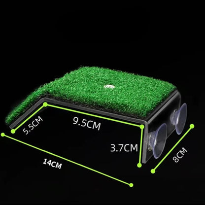 Turtle Moss Platform