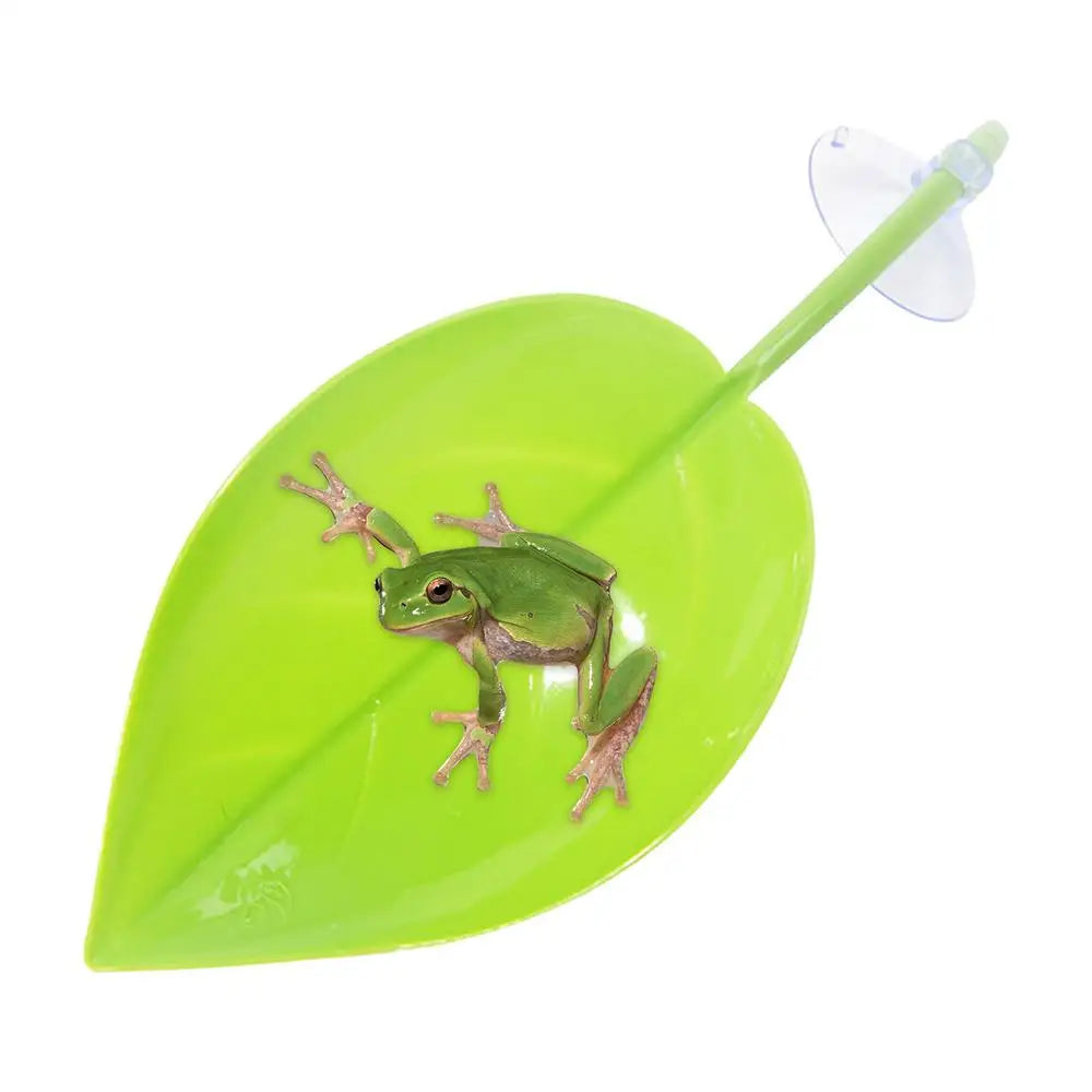Frog Leaf Basking Platform