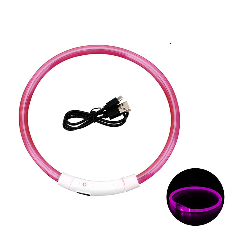 LED Collar