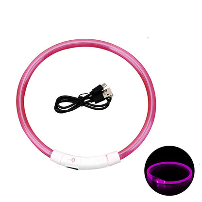 LED Collar