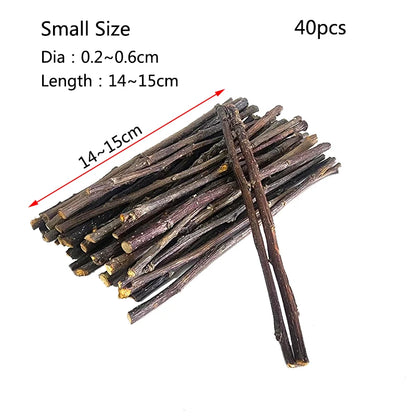 Apple Wood Chew Sticks