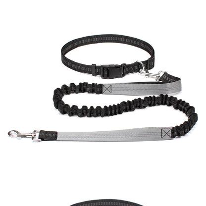 Hand Free Leash for Jogging