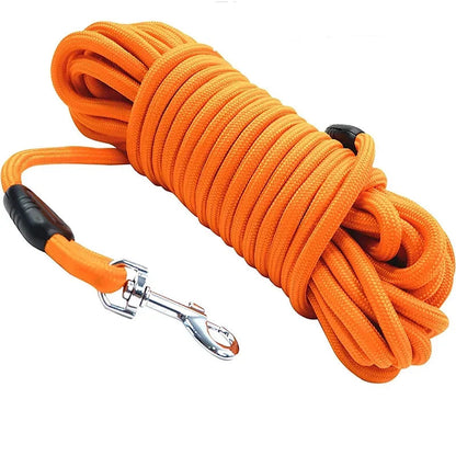 Heavy Duty Nylon Leash