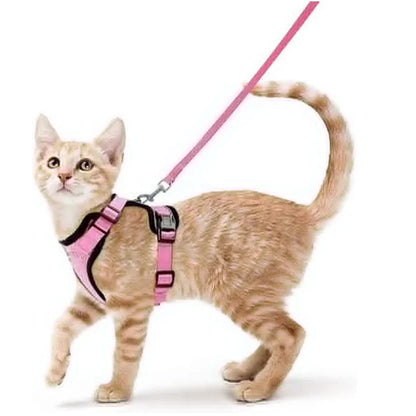 Cat Harness and Leash 3
