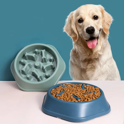 Anti-Choking Dog Slow Feeder Bowl