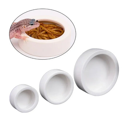 Reptile Ceramic Feeding Bowl 3