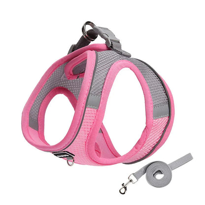 Adjustable Harness Set – Breathable Vest with Leash