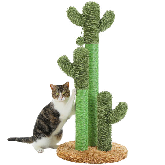 Cat Cactus Tree 1