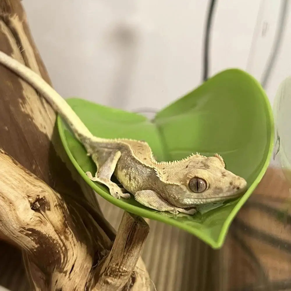 Frog Leaf Basking Platform
