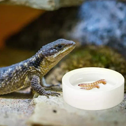 Reptile Ceramic Feeding Bowl 3