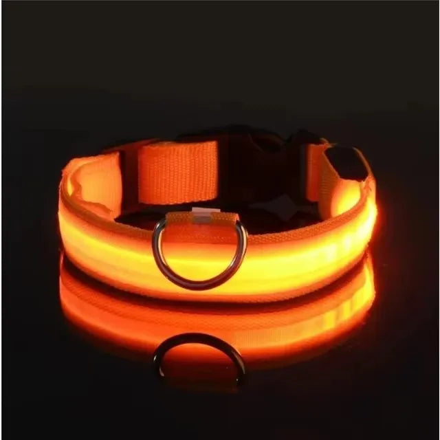 Led Glowing Collar