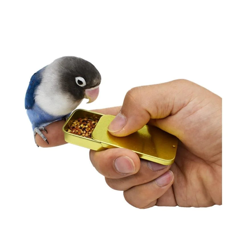 Parrot Training Feeder