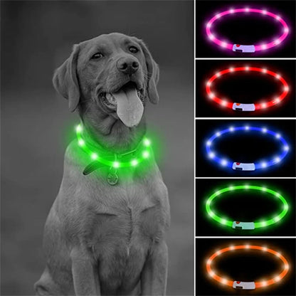 LED Collar