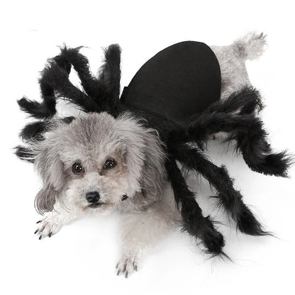 Spider Costume