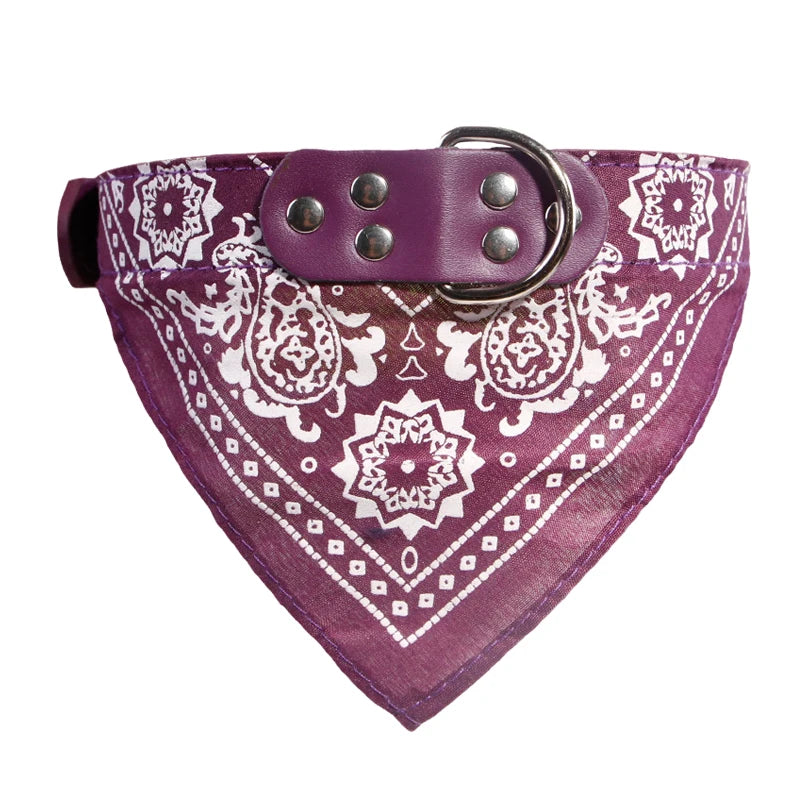 Collar Bandana