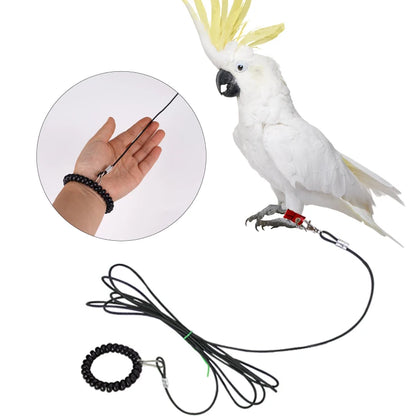 Bird Foot Harness