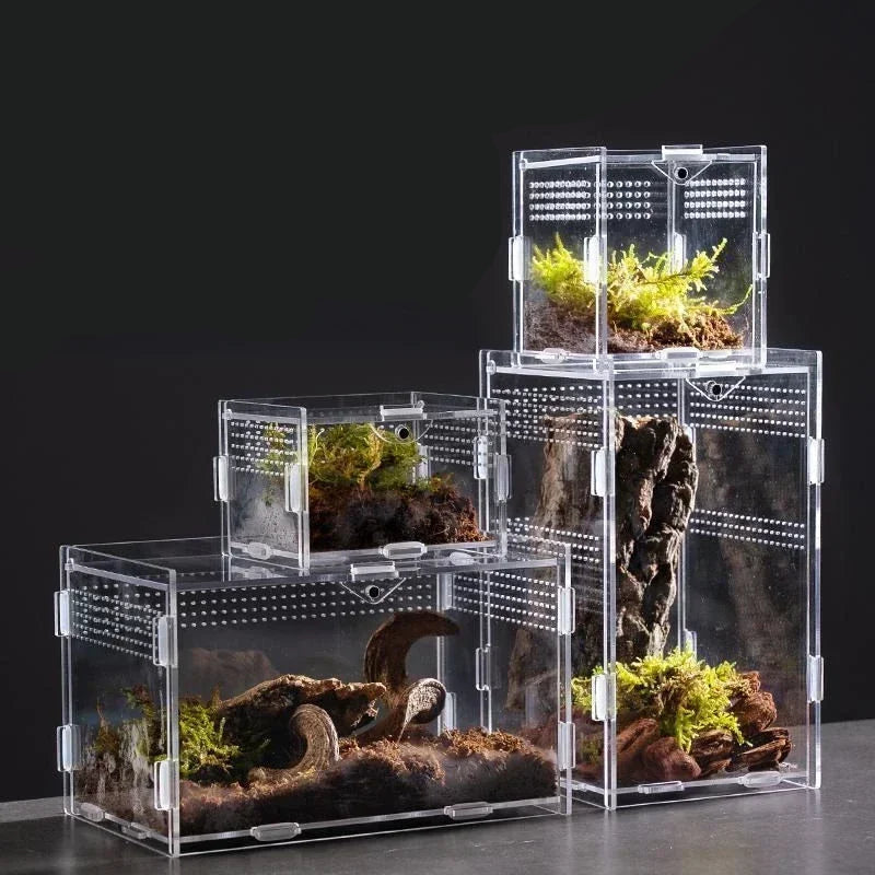 Acrylic Habitat