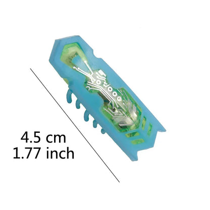 Funny Electric Bugs Catnip Toy