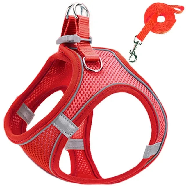 Reflective Dog Harness & Leash Set