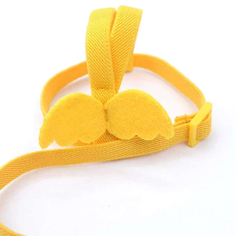 Bird Flying Harness