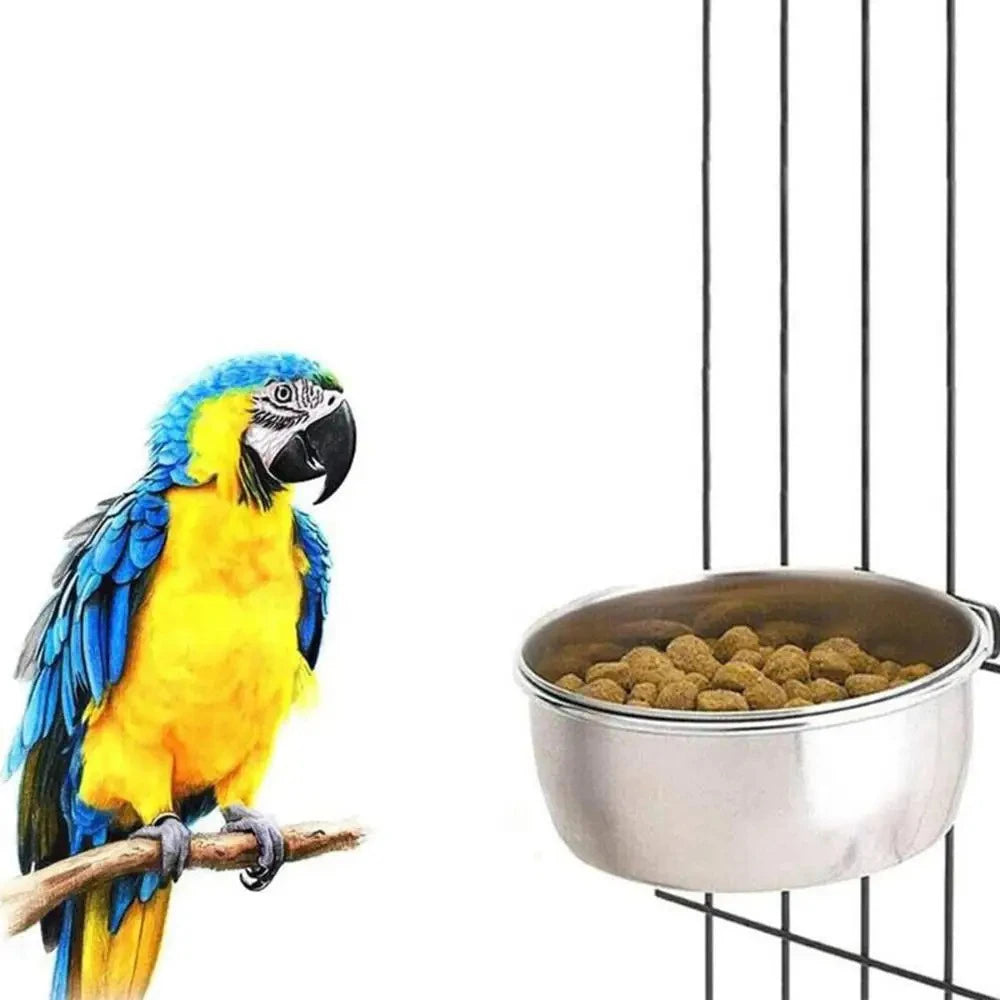 Stainless Steel Feeder