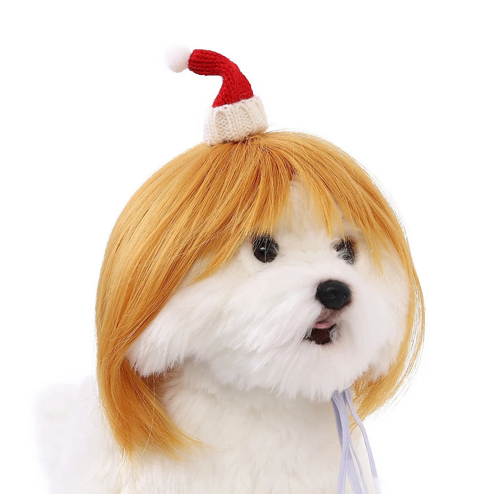 DIY Pet Wig